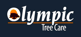 Olympic Tree Care London Ontario